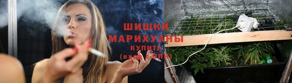 прущие крисы Кукмор