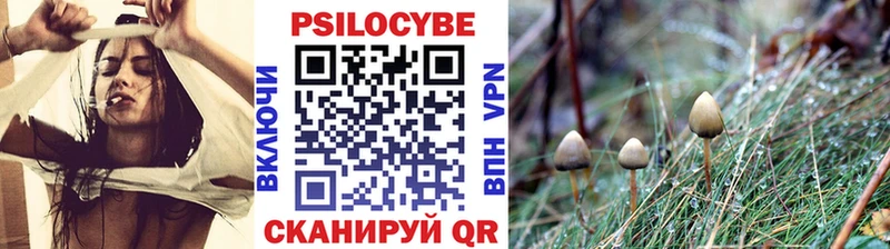 Псилоцибиновые грибы прущие грибы  Электросталь 