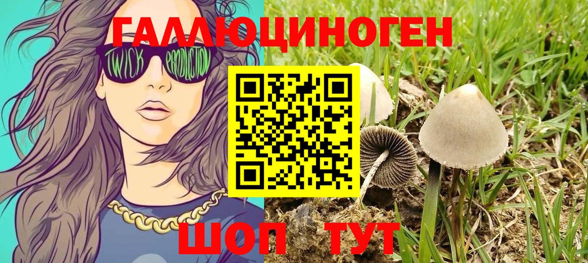 Псилоцибиновые грибы прущие грибы  Галлюциногенные грибы GOLDEN TEACHER  Вход с VPN  Электросталь 