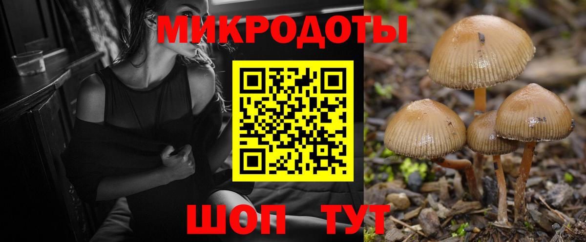 Галлюциногенные грибы MAGIC MUSHROOMS Электросталь